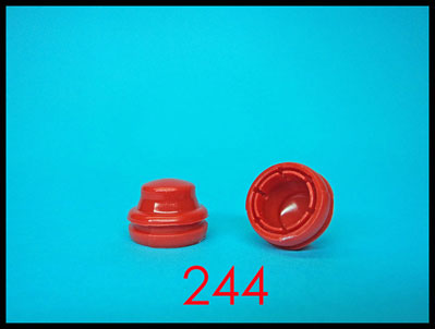 244